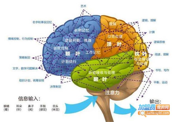 博沃思认知力训练中心加盟费