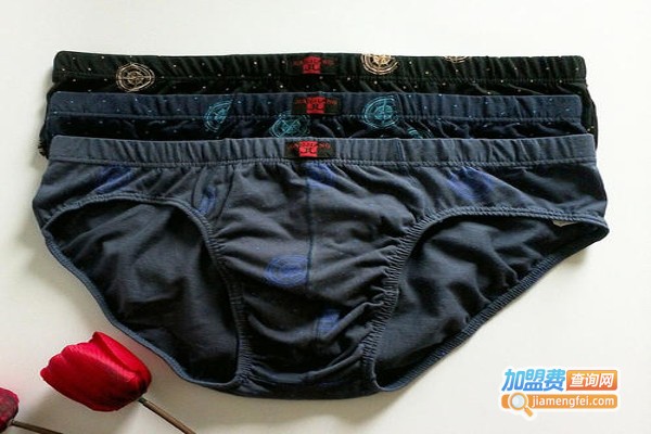 健将内裤加盟费