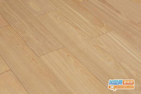 特佳地板加盟费