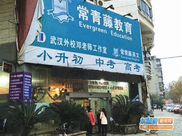 常青藤语文加盟费