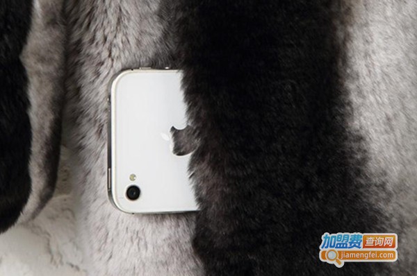 凡欣威娜加盟费