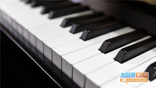 爱乐艺术培训加盟费