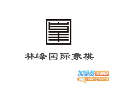 林峰国际象棋培训加盟