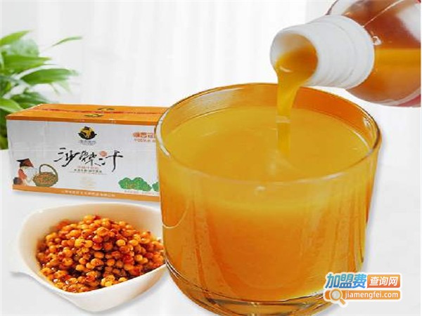 沙棘果汁加盟费