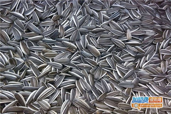 傻瓜瓜子加盟费