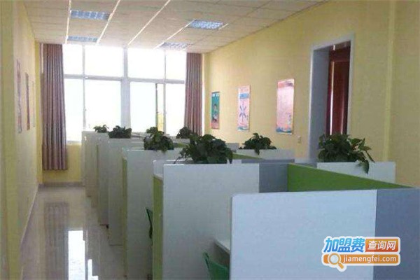 青芒教育加盟费