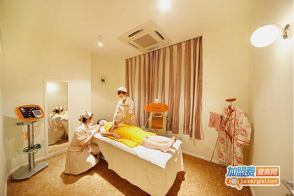 靓丽妈妈加盟费