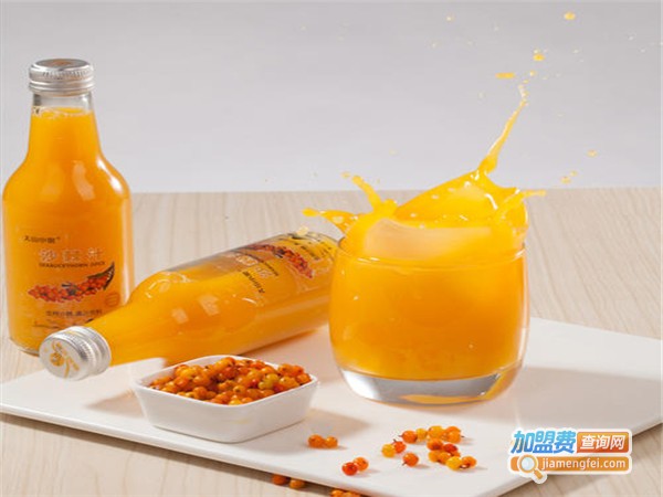 沙棘果汁加盟费