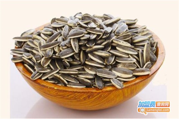 傻瓜瓜子加盟费