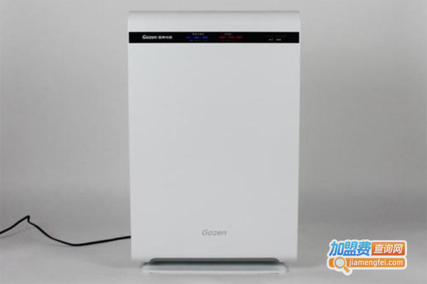 国真空气净化器加盟费