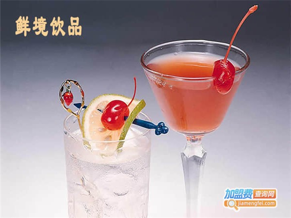 鲜境饮品加盟费