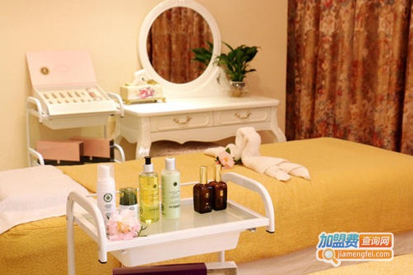 靓丽妈妈加盟费