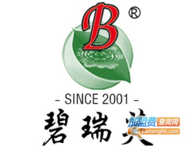 碧瑞芙茶业加盟费