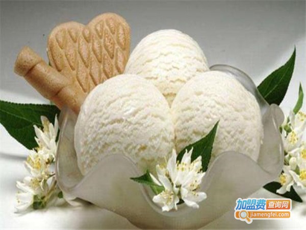 天使之作意大利手工冰淇淋加盟门店