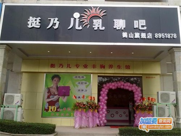 挺乃儿美容加盟费