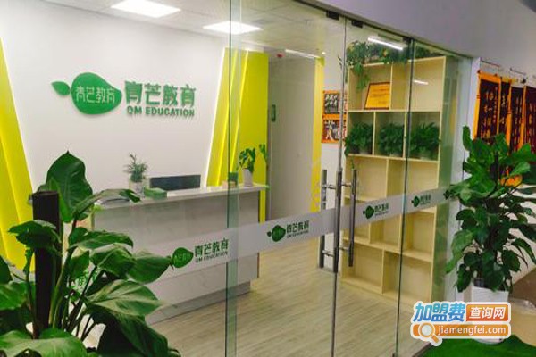 青芒教育加盟费