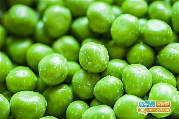 青豆日用品加盟费