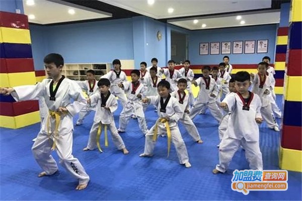 天龙跆拳道加盟费