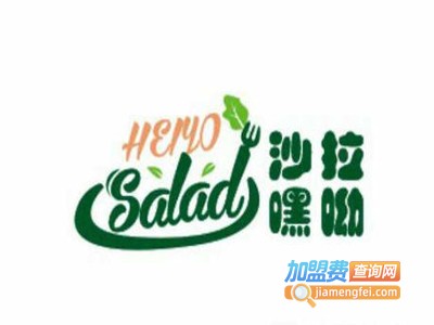沙拉嘿呦轻体餐加盟费