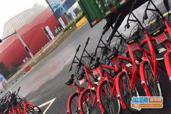 悟空单车加盟门店