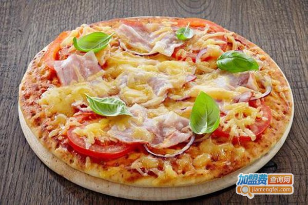 纽一比萨加盟费