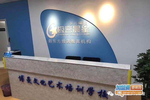 极客晨星编程教育