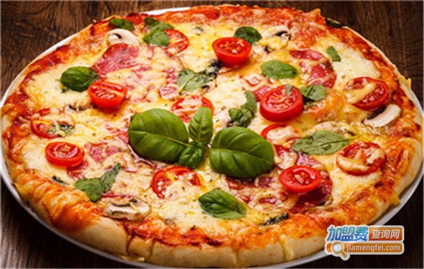 新站点比萨加盟费