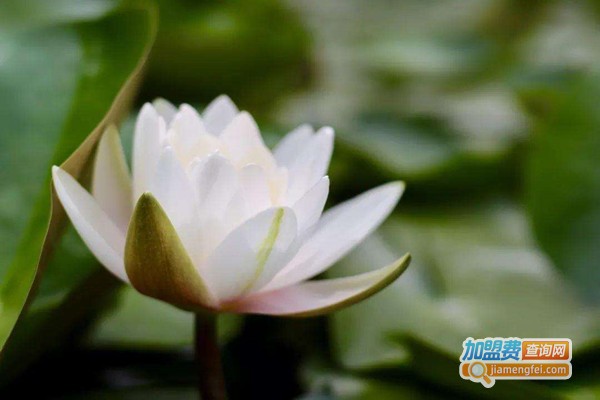 明都养生休闲会所加盟门店