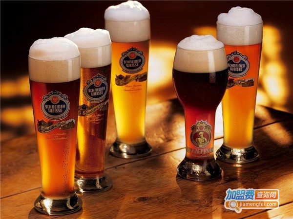 蓝田啤酒加盟费