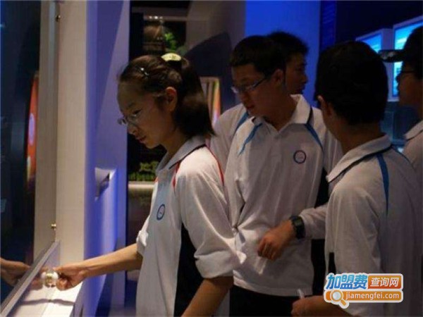 维尔教育加盟费