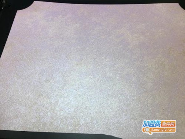 帝洛尼加盟门店