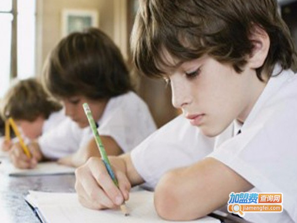 科智教育加盟费