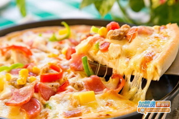 纽一比萨加盟费