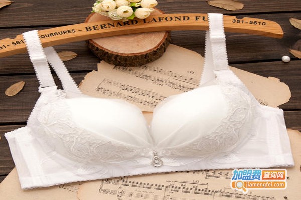 奥俐爱伊调整型文胸加盟费