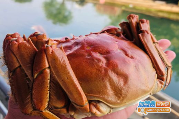 沈记蟹园加盟费