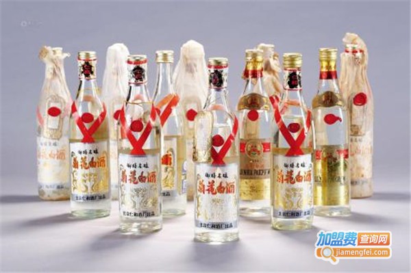 泸江老窖加盟费