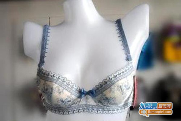 安格薇内衣加盟门店