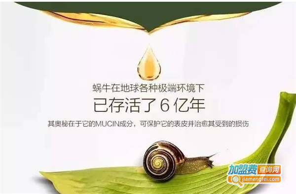 蜗牛护肤品加盟费