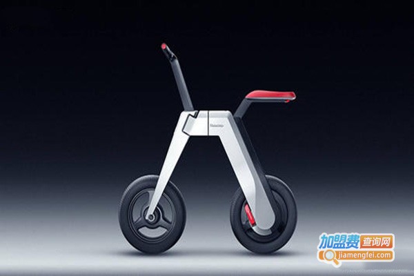 小金童滑板车加盟门店