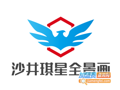 沙井琪星全景画加盟费