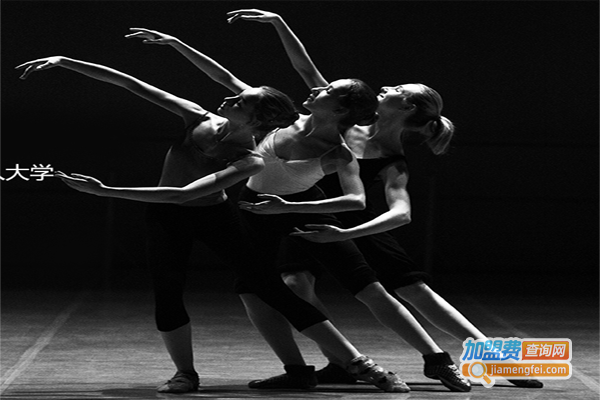 星之海艺术培训中心加盟费