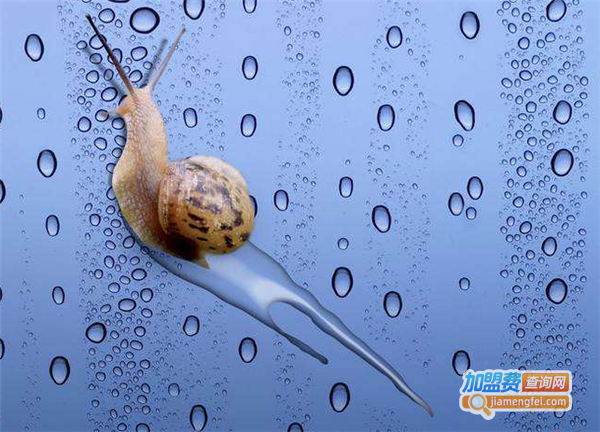 蜗牛护肤品加盟费