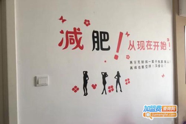 臻享瘦美容瘦身养生馆加盟费