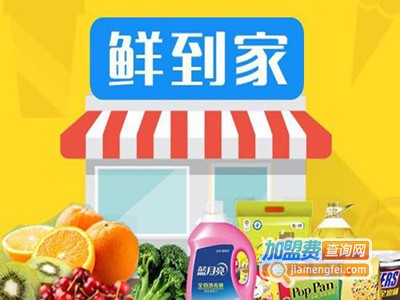 鲜都到家加盟