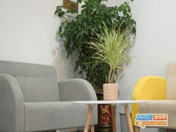 宸才教育加盟费