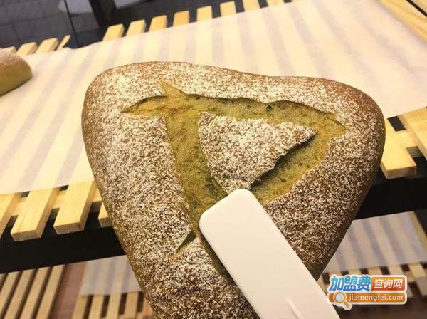 发酵食堂加盟费