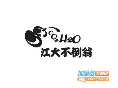 江大不倒翁解酒饮料