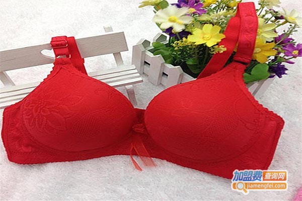 娇玲花内衣加盟门店