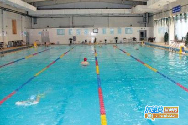 飞鱼游泳培训加盟费
