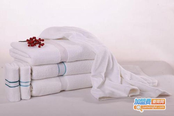 瑞宝酒店用品加盟门店